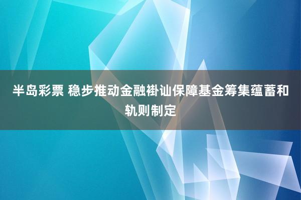 半岛彩票 稳步推动金融褂讪保障基金筹集蕴蓄和轨则制定