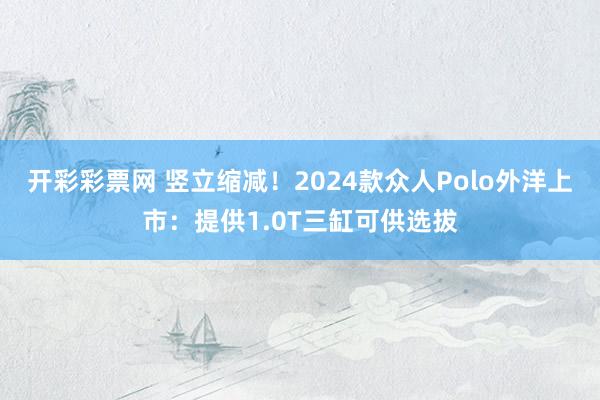 开彩彩票网 竖立缩减！2024款众人Polo外洋上市：提供1.0T三缸可供选拔