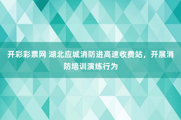 开彩彩票网 湖北应城消防进高速收费站，开展消防培训演练行为