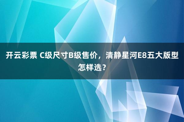 开云彩票 C级尺寸B级售价，清静星河E8五大版型怎样选？