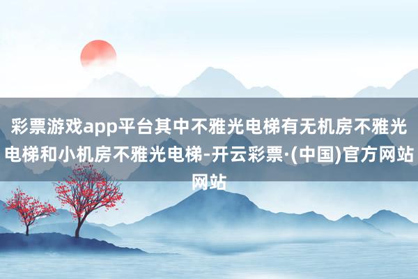 彩票游戏app平台其中不雅光电梯有无机房不雅光电梯和小机房不雅光电梯-开云彩票·(中国)官方网站