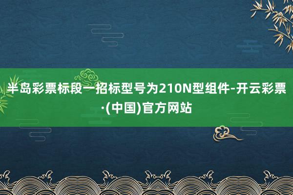 半岛彩票标段一招标型号为210N型组件-开云彩票·(中国)官方网站