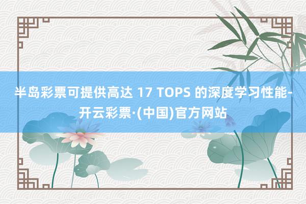 半岛彩票可提供高达 17 TOPS 的深度学习性能-开云彩票·(中国)官方网站