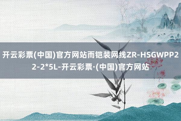 开云彩票(中国)官方网站而铠装网线ZR-HSGWPP22-2*5L-开云彩票·(中国)官方网站