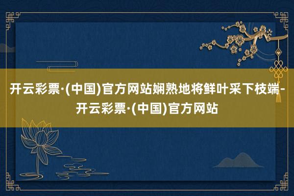 开云彩票·(中国)官方网站娴熟地将鲜叶采下枝端-开云彩票·(中国)官方网站