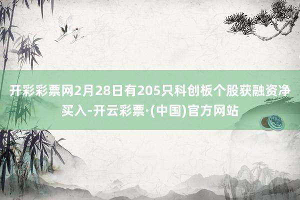 开彩彩票网2月28日有205只科创板个股获融资净买入-开云彩票·(中国)官方网站